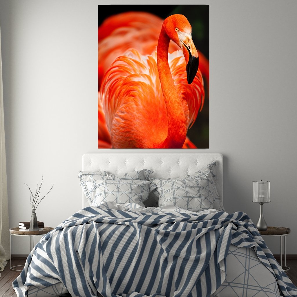 "Flamingo"  - Affengeile Bilder