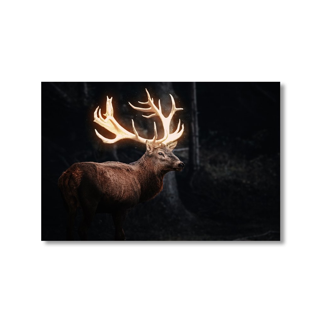 MagicalDeer by Himmelmiez - Affengeile Bilder