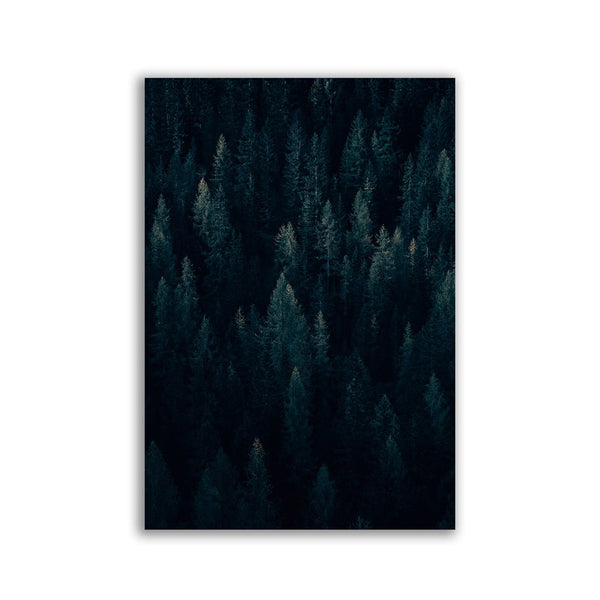 "Moody Forrest" Vertical - by Philipp Pilz - Affengeile Bilder