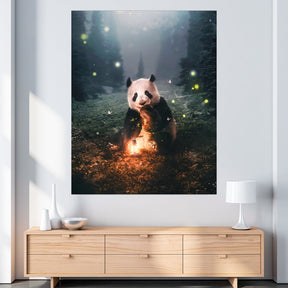"Panda Magical" - Affengeile Bilder
