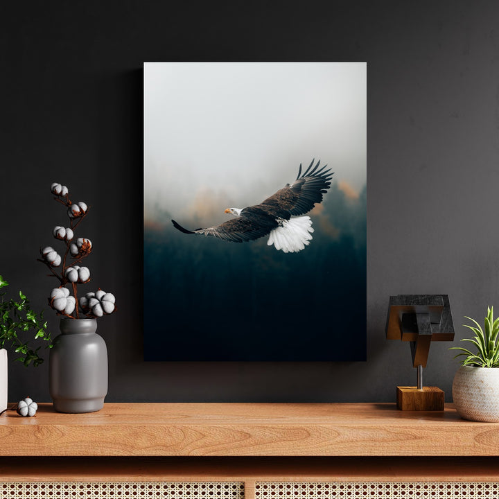 Majestic Eagle Gliding by Philipp Pilz - Affengeile Bilder