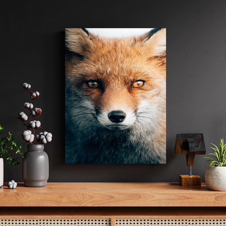 Golden Fox Portrait by Philipp Pilz - Affengeile Bilder