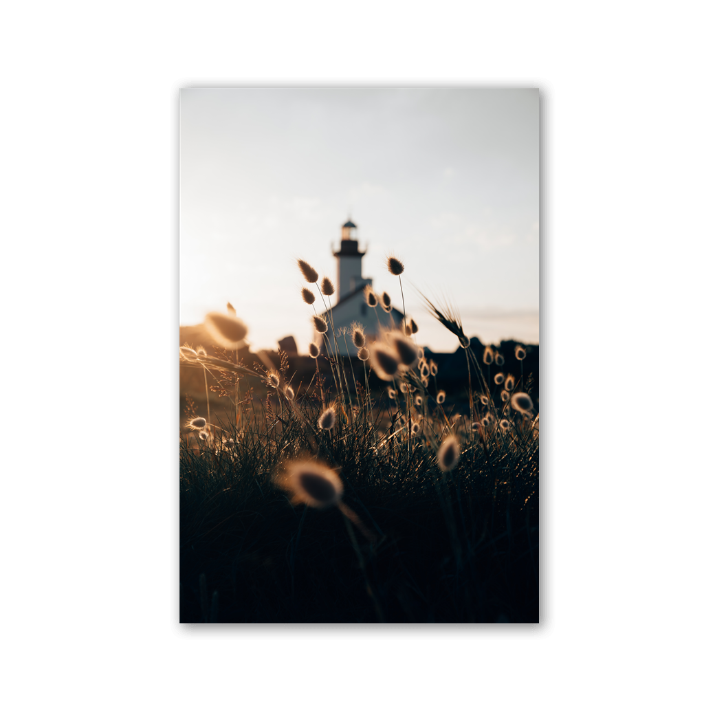 Wild Grass Lighthouse View by Philipp Pilz - Affengeile Bilder
