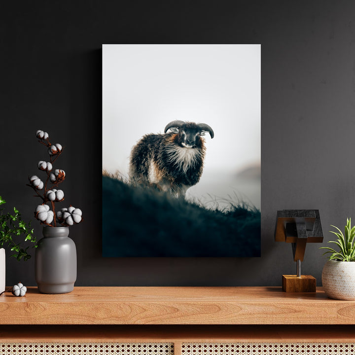 Horned Sheep on Mist Ridge by Philipp Pilz - Affengeile Bilder