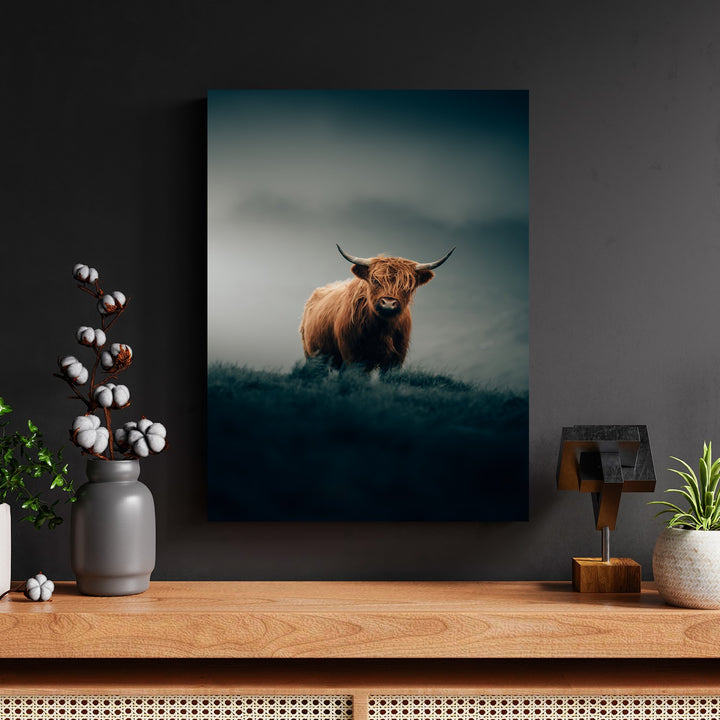 Lone Highland Cattle Guard by Philipp Pilz - Affengeile Bilder
