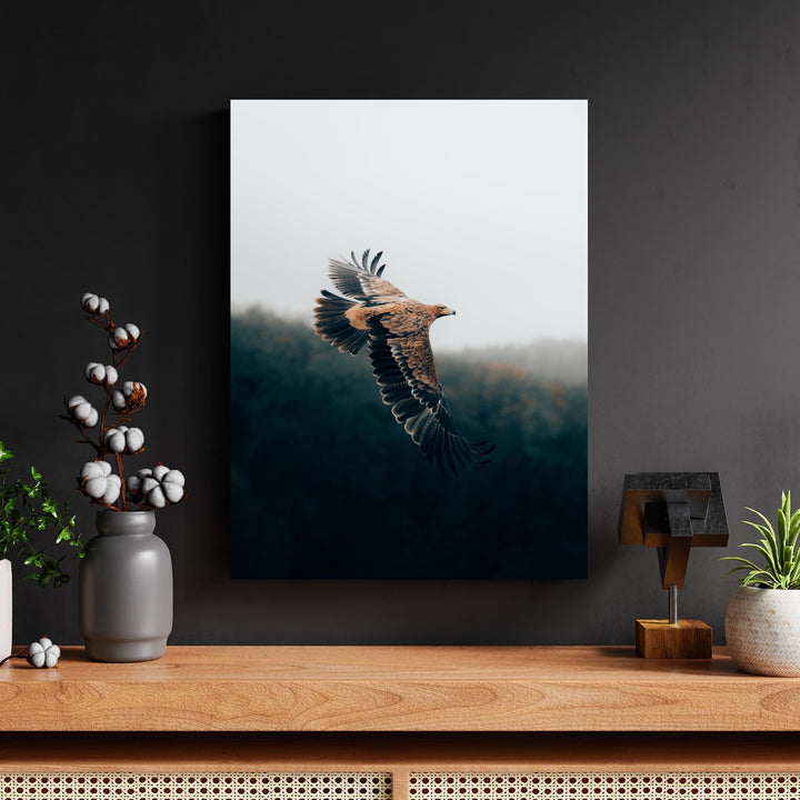 Eagle Over Forest Mist by Philipp Pilz - Affengeile Bilder
