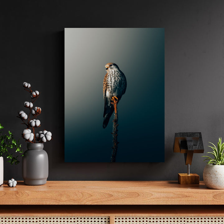 Perched Kestrel Silhouette by Philipp Pilz - Affengeile Bilder