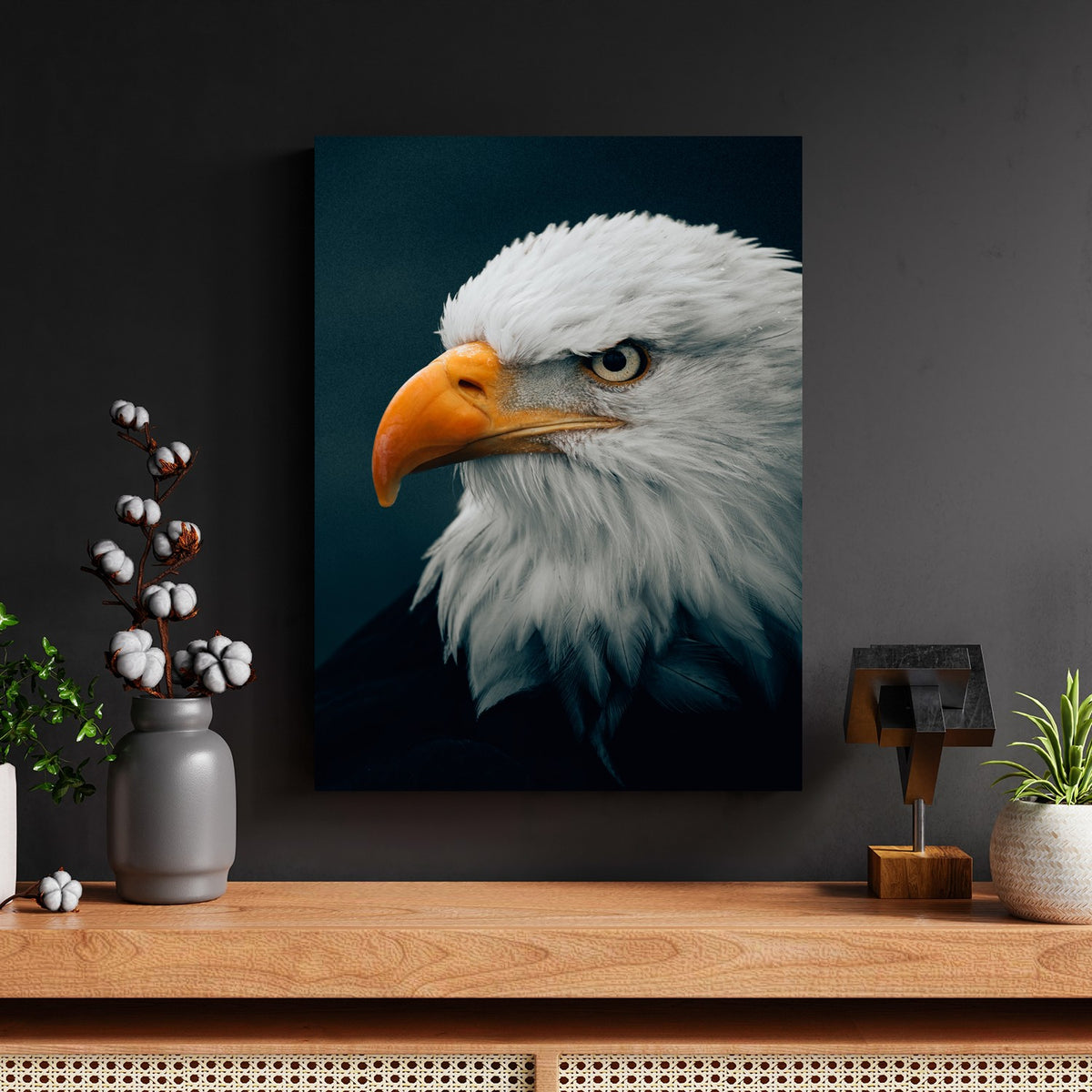 Bald Eagle Piercing Gaze by Philipp Pilz - Affengeile Bilder