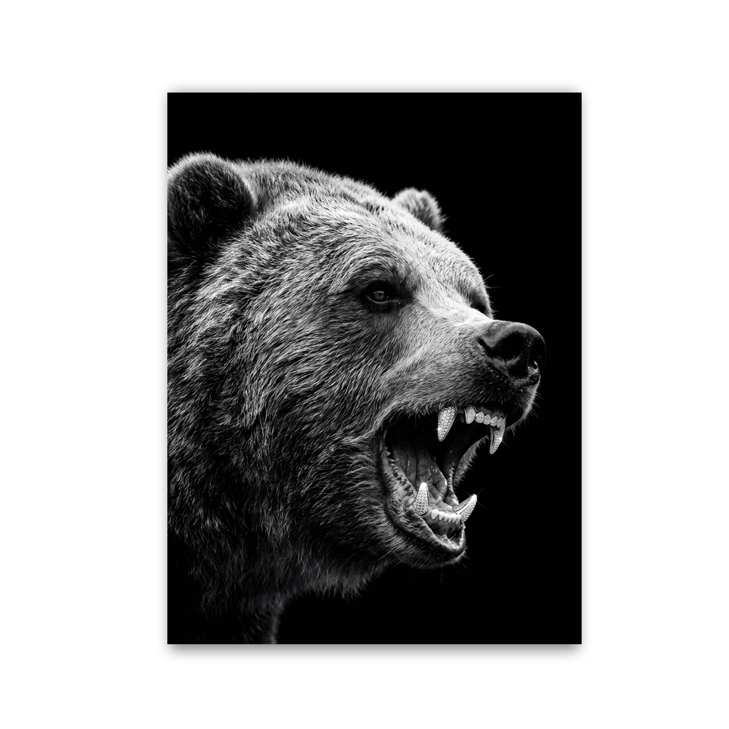 Roaring Grizzly by Zenzdesign - Affengeile Bilder