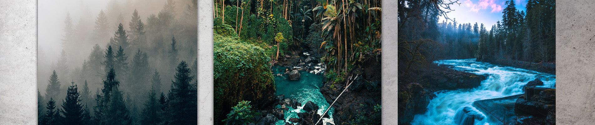 Kategorie Header Natur