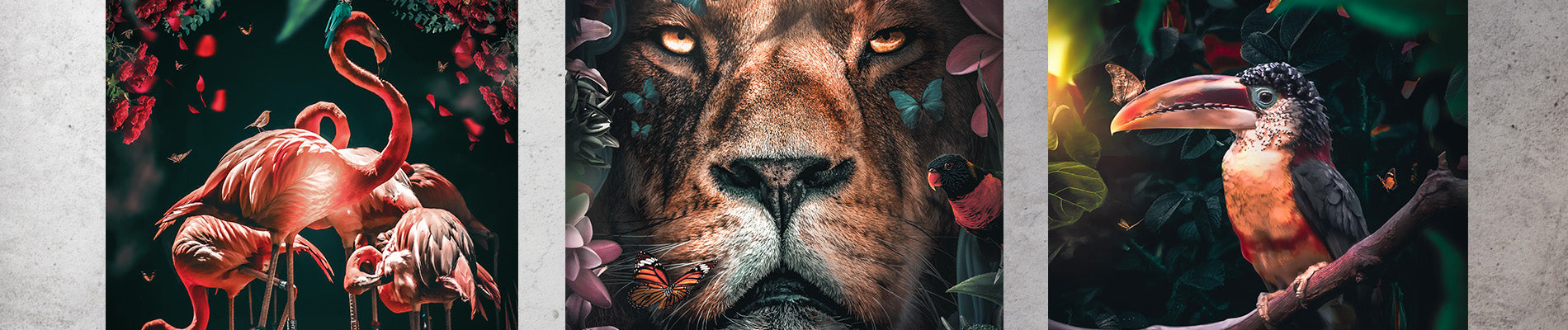 Kategorie Header Zenzdesign