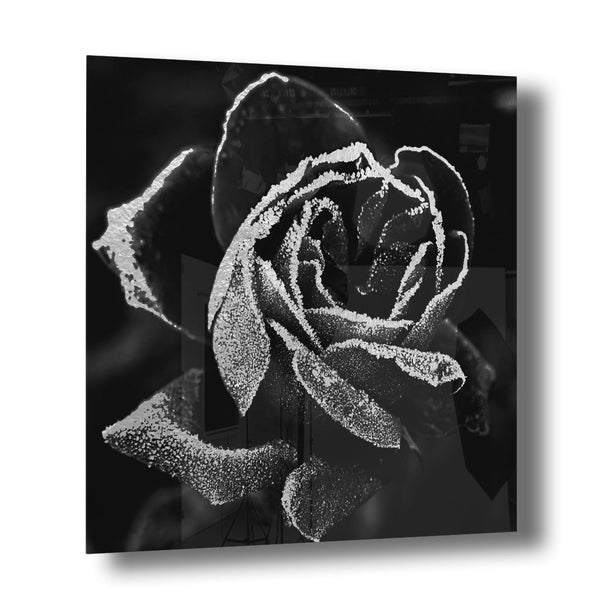 Abstract Rose Silber auf Acryl - Affengeile Bilder