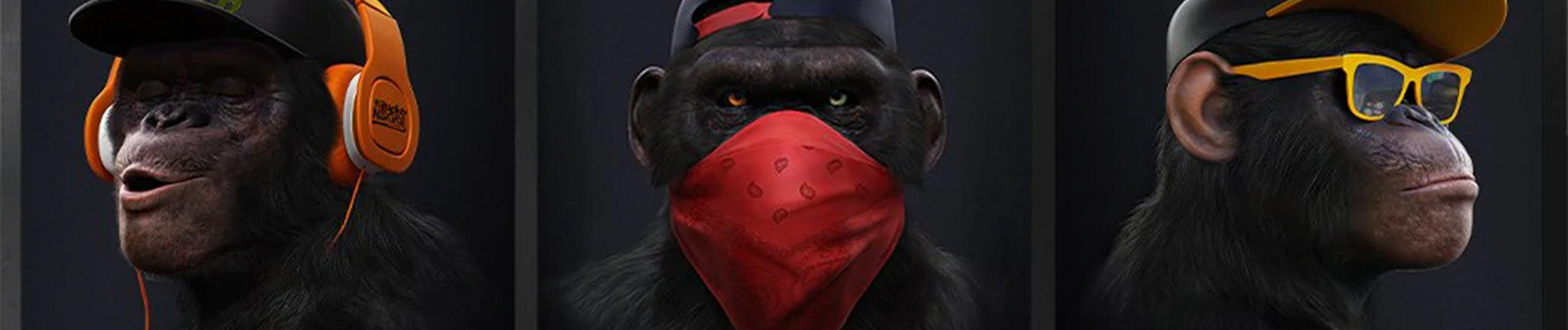 Banner für Kategorie Affengeile Bilder