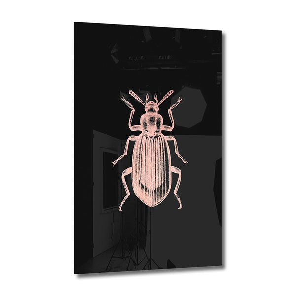 Beetle Rosé auf Acryl - Affengeile Bilder