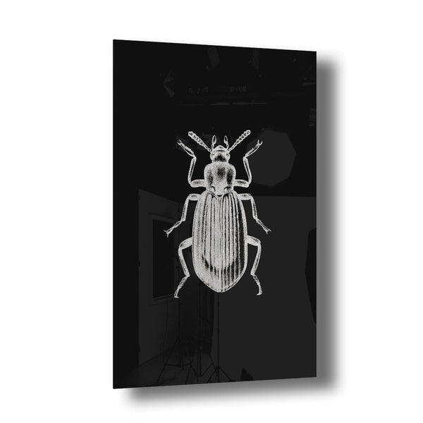 Beetle Silber auf Acryl - Affengeile Bilder