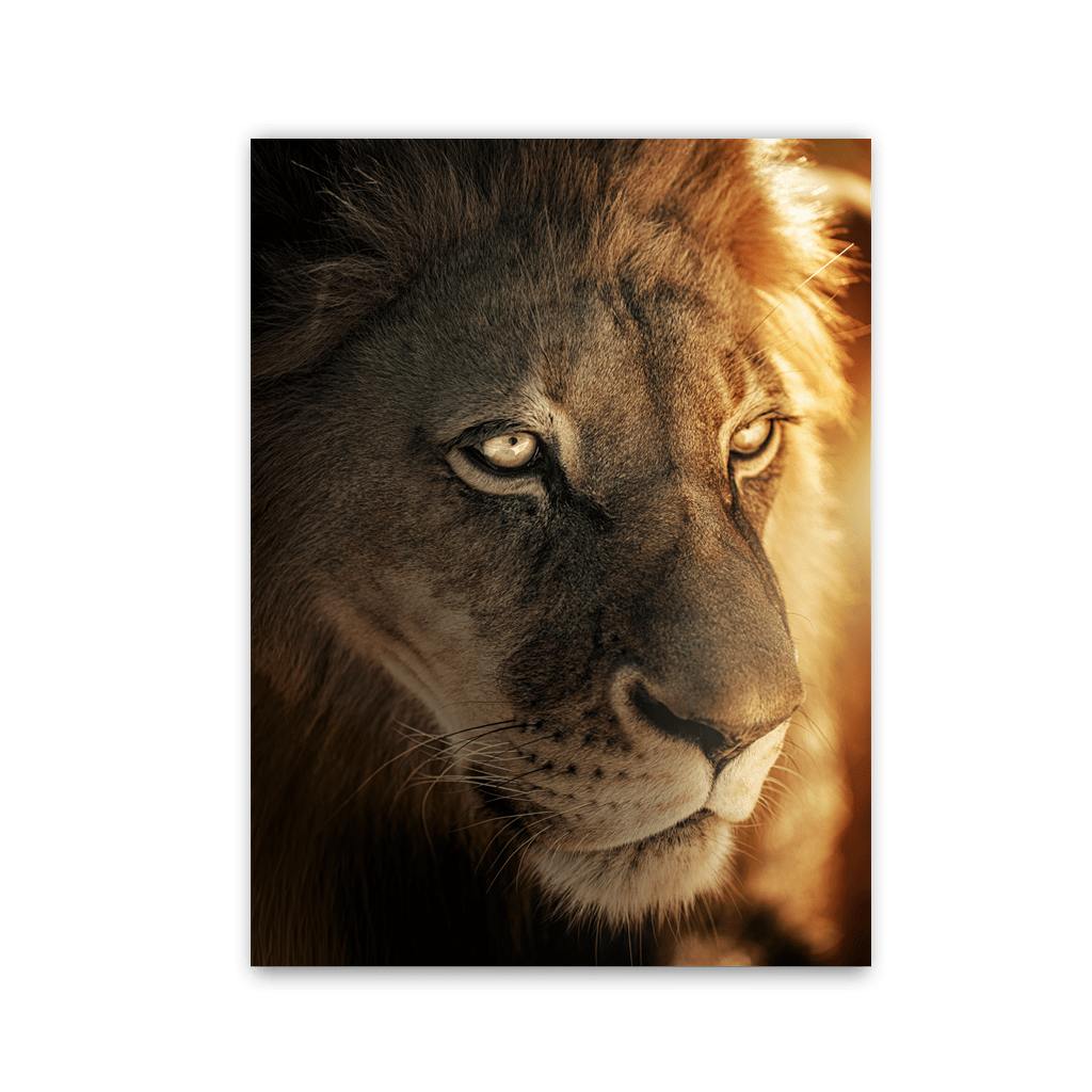 Golden Glow Lion by Zenzdesign - Affengeile Bilder