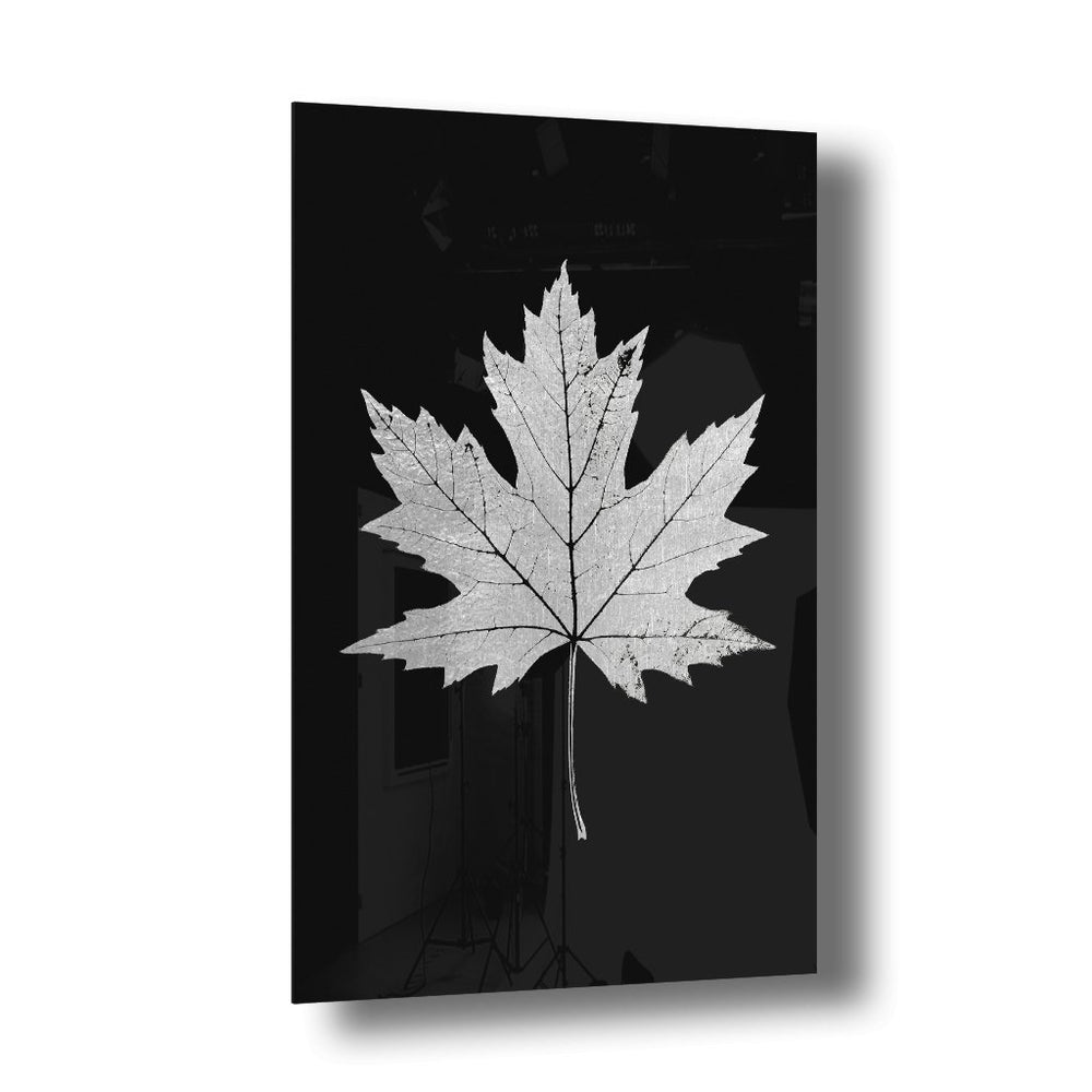 Maple Leaf Silber auf Acryl - Affengeile Bilder