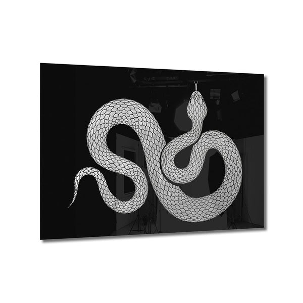 Snake Silber auf Acryl - Affengeile Bilder