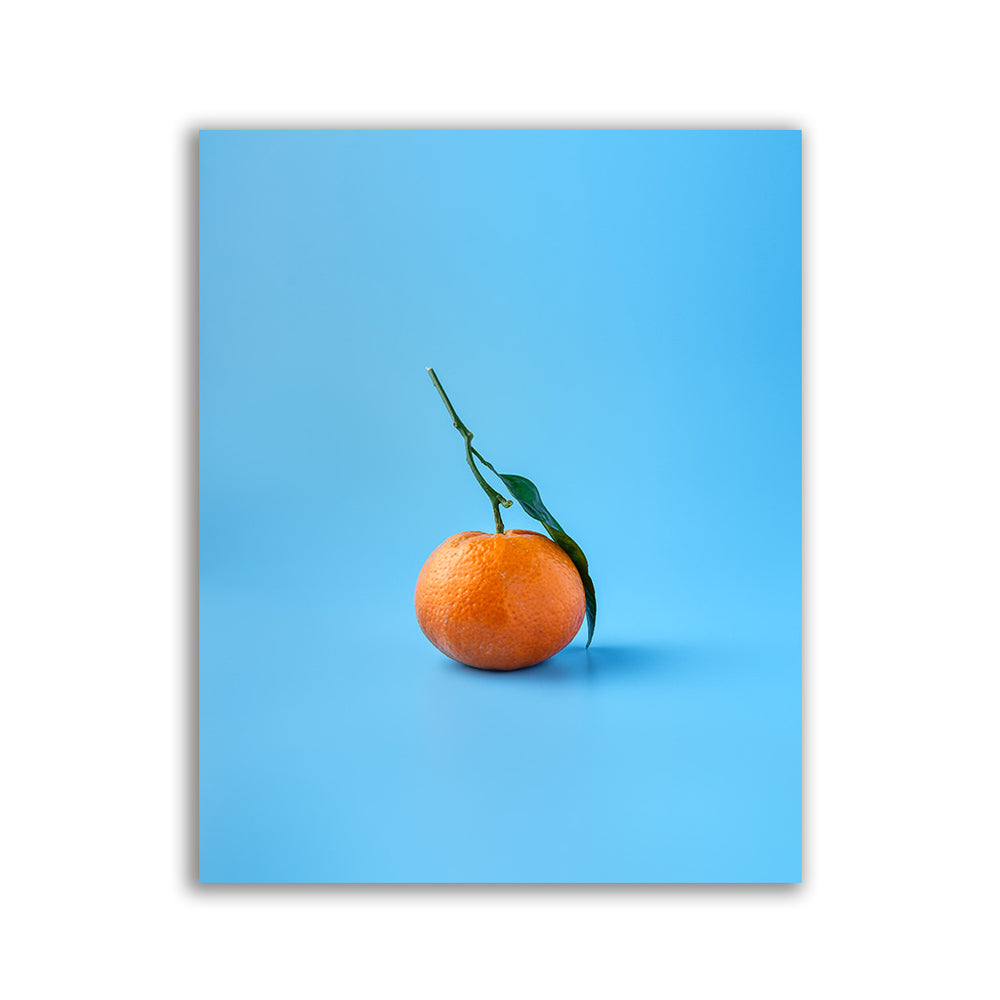 "Mandarine" - Affengeile Bilder