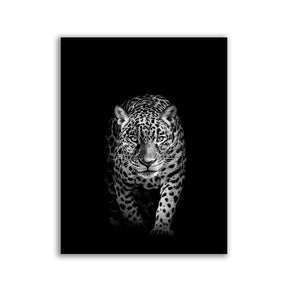 Leopard by Adrian Vieriu