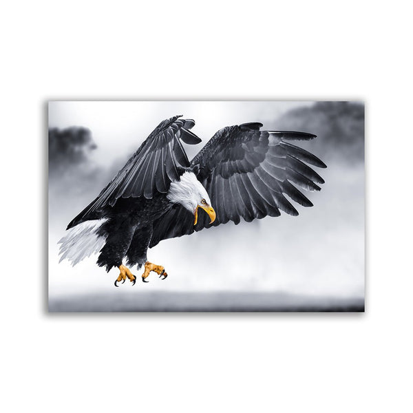 "Angry Eagle" by Adrian Vieriu - Affengeile Bilder