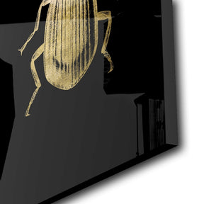 Beetle Goldversion auf Acryl - Affengeile Bilder