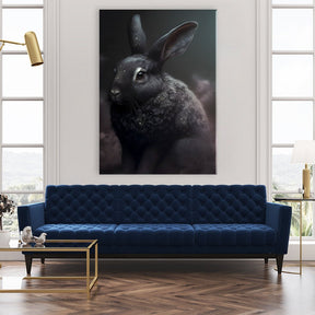 Black Bunny by Juliano de Araujo - Affengeile Bilder