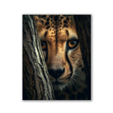 Cheetah Hiding by Zenzdesign - Affengeile Bilder