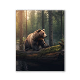 Climbing Bear by Zenzdesign - Affengeile Bilder