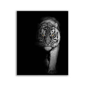 "Dangerous Tiger" by Adrian Vieriu - Affengeile Bilder