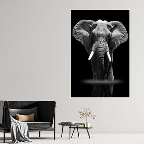 "Elefant" - Affengeile Bilder