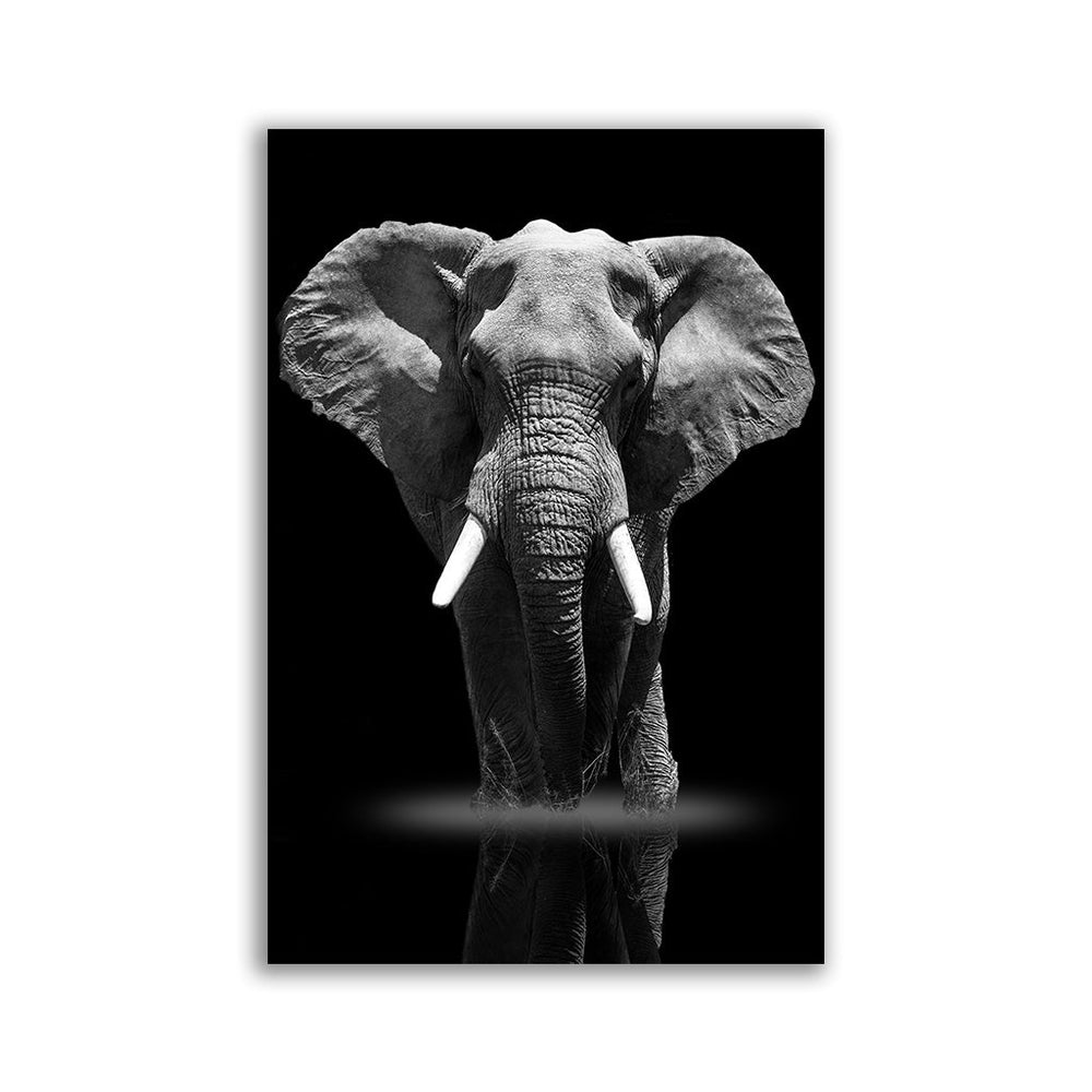 "Elefant" - Affengeile Bilder