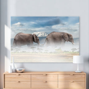 Elefanten Riesen by Himmelmiez - Affengeile Bilder