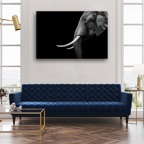 "Elephant Tusk" by Adrian Vieriu - Affengeile Bilder