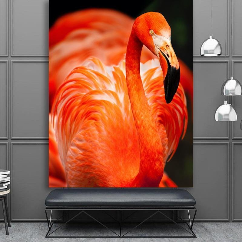 "Flamingo" ﻿ - Affengeile Bilder