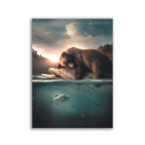 "Floating Bear" by Zenzdesign - Affengeile Bilder