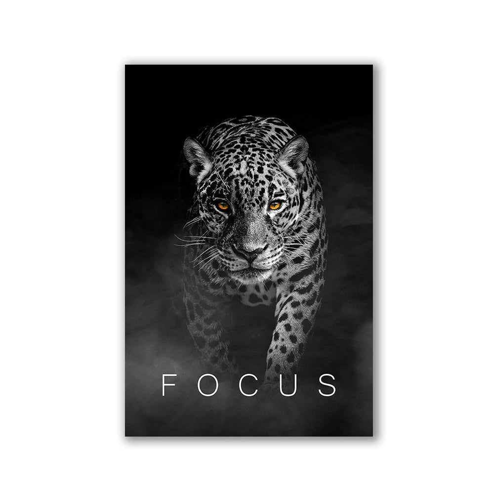 Focus Leopard by Adrian Vieriu - Affengeile Bilder
