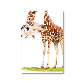 Funny Giraffe by Himmelmiez - Affengeile Bilder