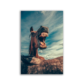 "Funny Horse" - Affengeile Bilder
