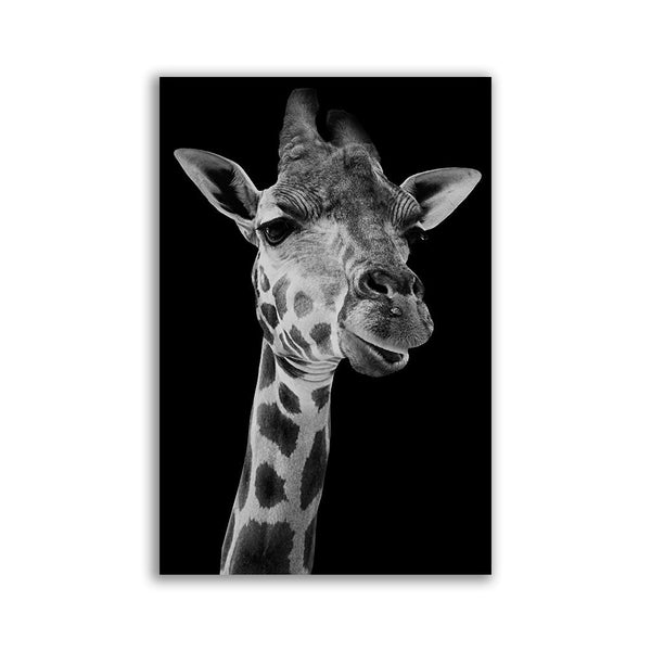 "Giraffe" Black/White - Affengeile Bilder