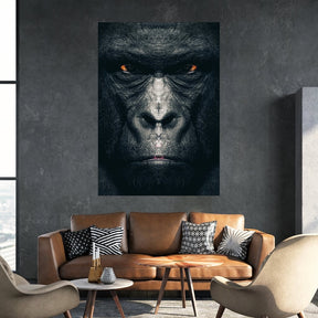 "Gorilla" - Affengeile Bilder