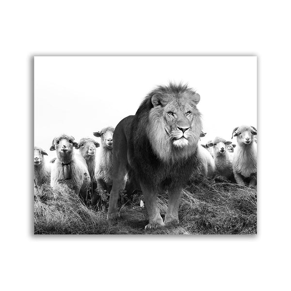 "Leader Lion" - Affengeile Bilder
