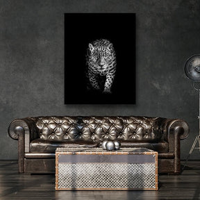 "Leopard" by Adrian Vieriu - Affengeile Bilder