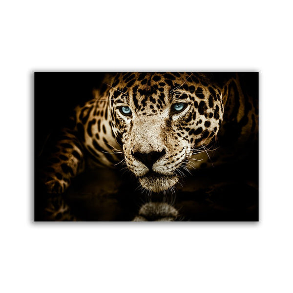 "Leopard" by Adrian Vieriu - Affengeile Bilder