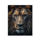 Lion Portrait by Zenzdesign - Affengeile Bilder