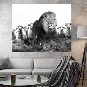 "Lion Sheeps" - Affengeile Bilder