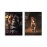 "Lion Stars" - Duo by Zenzdesign - Affengeile Bilder