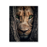 Lioness Hiding by Zenzdesign - Affengeile Bilder