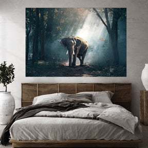 "Lonely Elephant" - Affengeile Bilder
