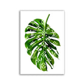 "LV Monstera Leaf" - Affengeile Bilder